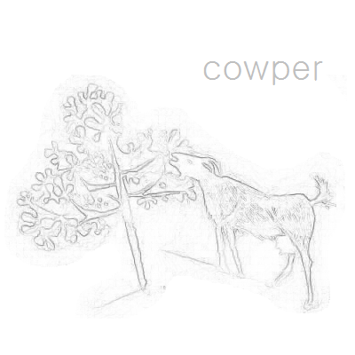 cowper